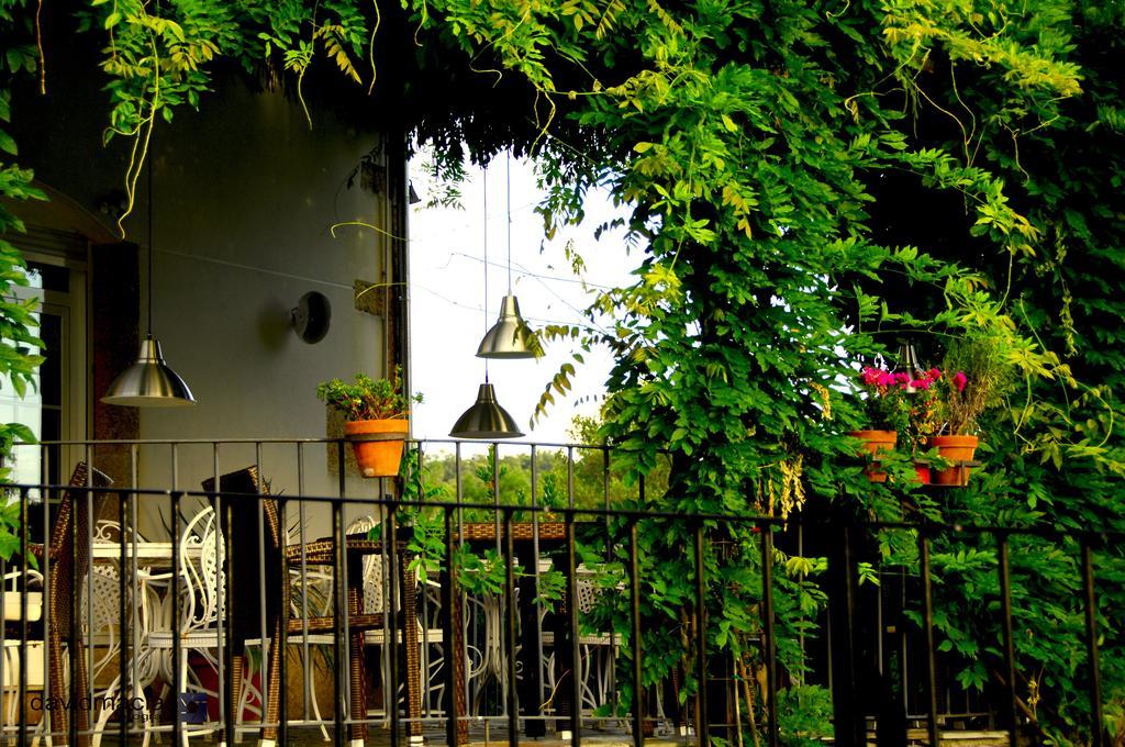 Hostal Almazara de San Pedro Eljas Exterior foto